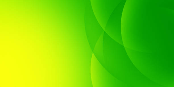 istock Modern gradient colorful circle of green background 1218265156