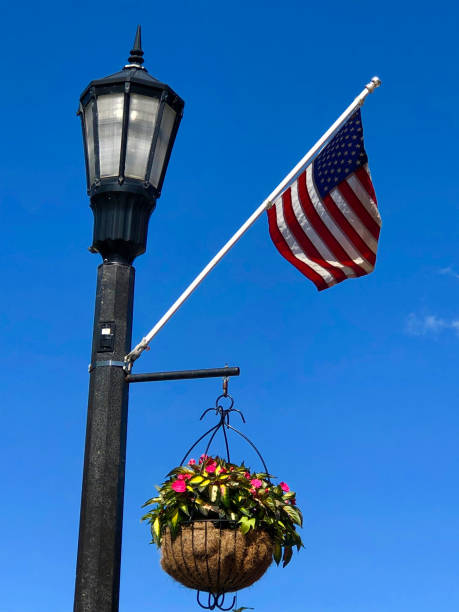 istock Flag and flowers 1218265333