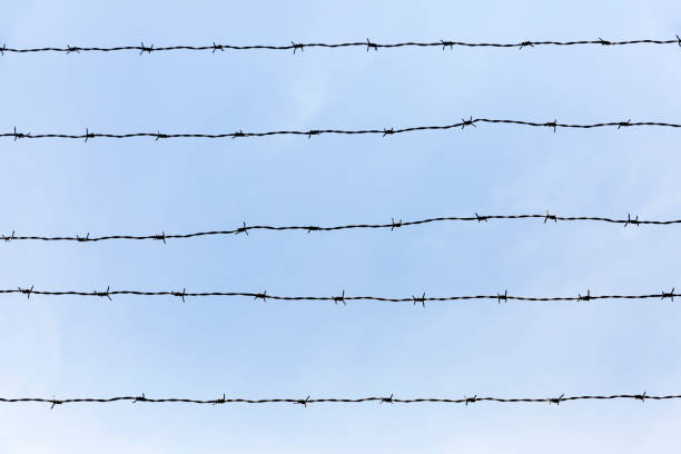Lines of barbed wires, blue sky background with copy space