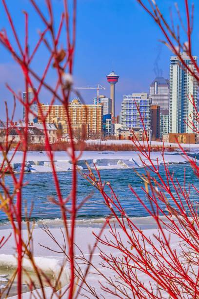 istock Snowy Views Of Downtown Calgary 1218271567
