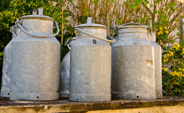 istock A group of ancient, metal milk cans on a table, vintage 1218272418