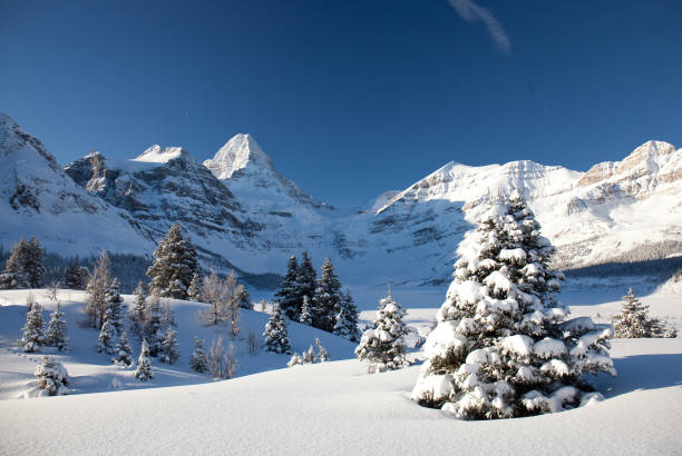 istock Mount Assiniboine in the Canadian Rockies 1218273626