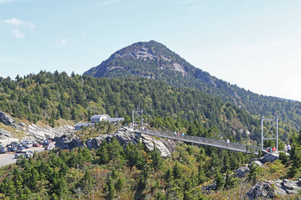 il ponte oscillante alto miglio su nonno mountain, carolina del nord - grandfather mountain foto e immagini stock