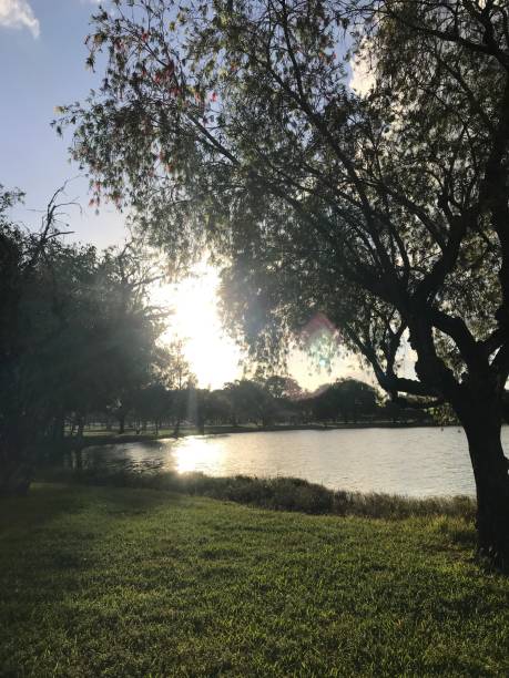 istock Nature scene by a lake 1218277583