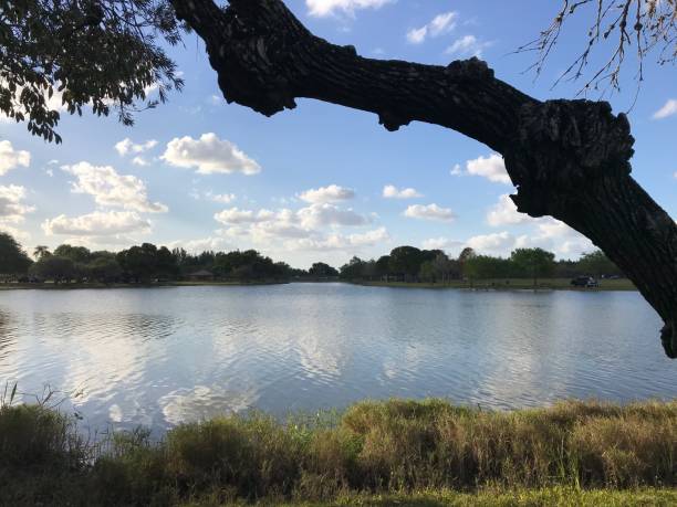 istock Nature scene by a lake 1218278099