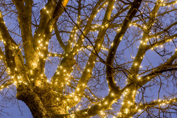 istock Park in Christmas night in Austria 1218281686