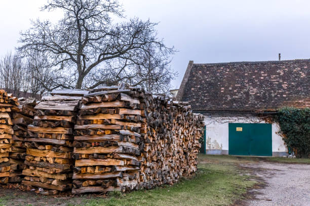 istock Firewood pile in the village, Austria 1218281688