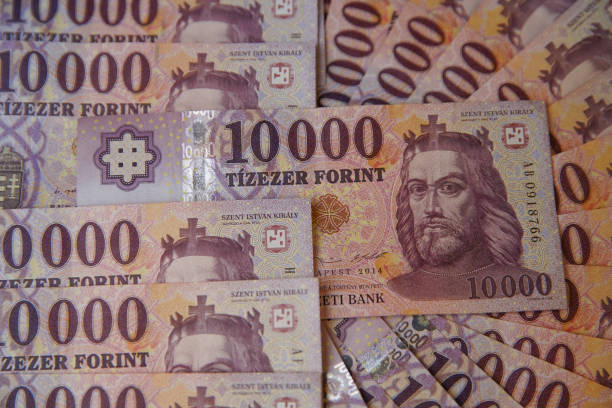 istock 10000 forint banknote stacks as a background (Hungarian forint). King St. Stephen. Europe Hungary. 1218282498