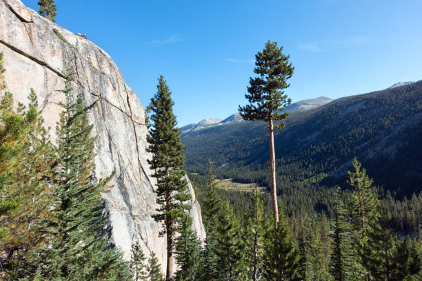 istock Tuolumne Meadows in Yosemite National Park 1218282688