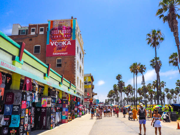lojas em venice beach, los angeles - palm tree california city of los angeles venice beach - fotografias e filmes do acervo