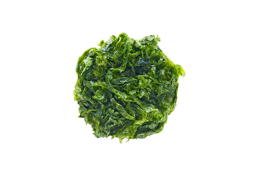 Sea lettuce isolated on white background
