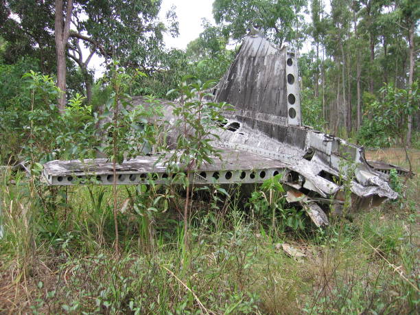 istock The remains of a DC3 aircraft. 1218290955