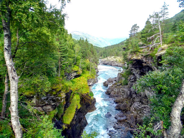 istock Slettafossen 04 - Norway. Landscape with river and forest - waterfall - Scandinavia 1218294073