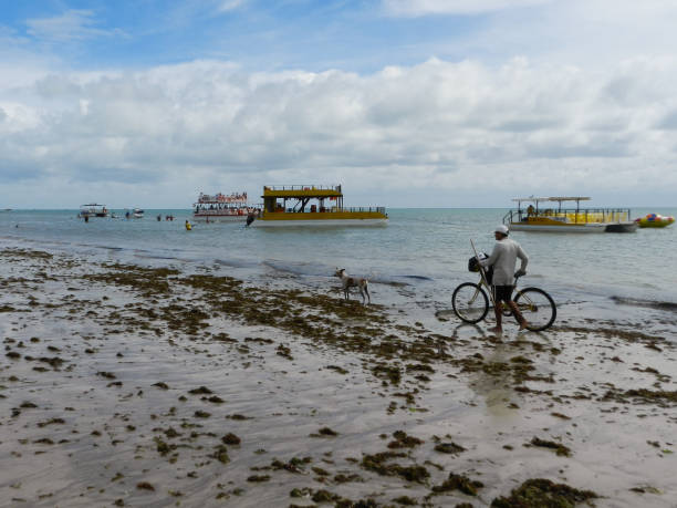 Cabedelo Beach Cabedelo, Paraiba, Brazil - February 07, 2016: Man cycling with his dog walking on the beach of Cabedelo, with boats in the background. sargassum stock pictures, royalty-free photos & images