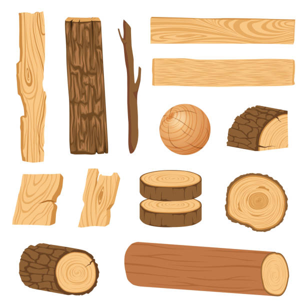 illustrazioni stock, clip art, cartoni animati e icone di tendenza di set di icone di tavole, barre e parti di legno strutturato di un albero. - corteccia di legno