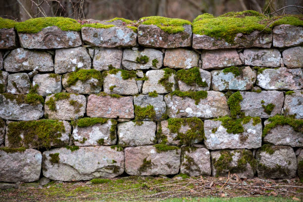 istock Dry stone wall in Cairngorm Mtns, Scotland. 1218297470