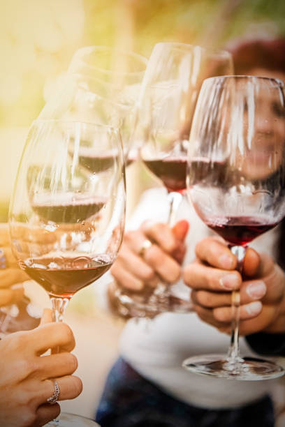 istock Group of friends toasting at a wine tasting event 1218297581