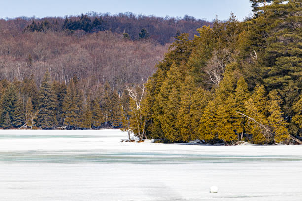istock Frozen Forested Lake in Winter 1218301147