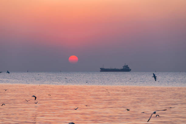 istock Landscape view  in sunset with seagulls and general cargo ship 1218301456