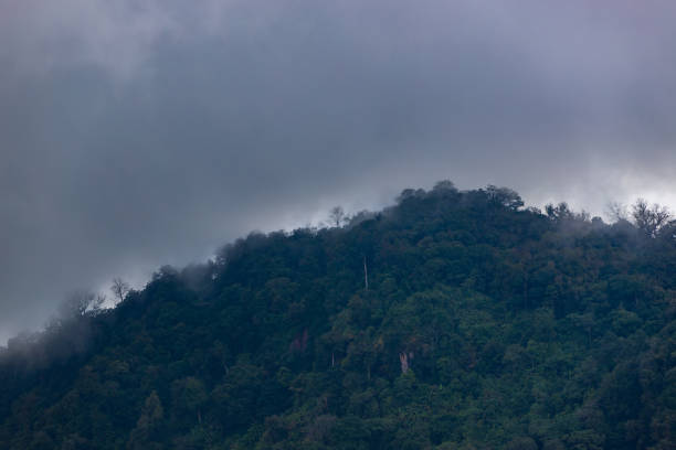 istock Landscape nature in Phu Thap Boek Thailand. 1218302295