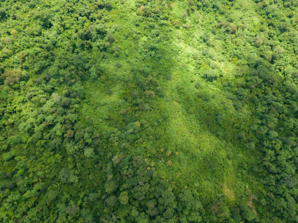 istock Landscape nature in Phu Thap Boek Thailand. 1218302375