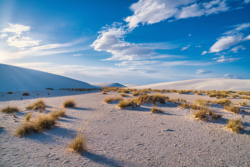 Scenic view over New Mexico’s White Sands National Monument Desert under beautiful skyscape. Overlooking desert bushes towards the white sandy desert dunes of White Sands National Monument under blue summer sunset sky., New Mexico, USA, North America