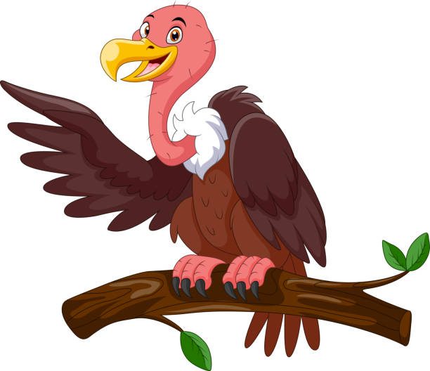 かわいい漫画ハゲタカは枝の上に立つ - nature animal bird branch点のイラスト素材／クリップアート素材／マンガ素材／アイコン素材