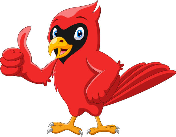 urocza kreskówka piękny kardynalny kciuk ptaka - cardinal stock illustrations