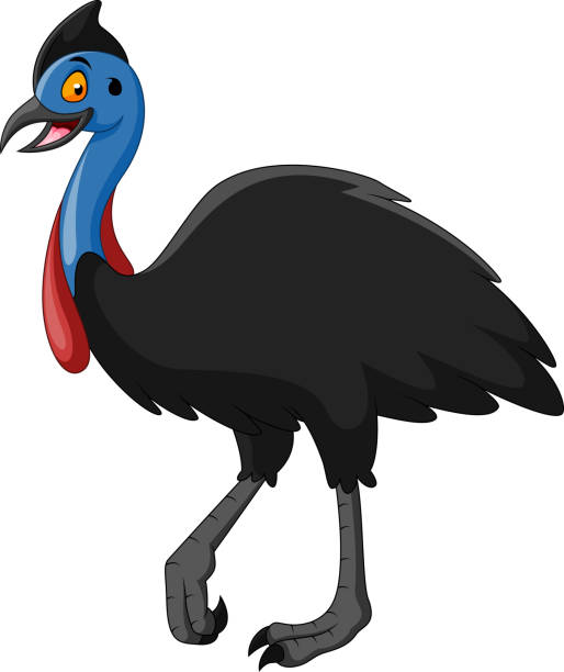 cute kreskówka cassowary uśmiech - beak bird blue cassowary stock illustrations