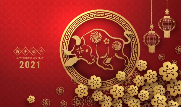 2021年中國新年賀卡十二生肖標誌用剪紙。ox 年。金色和紅色的裝飾品。節日橫幅範本的概念,裝飾元素。翻譯 : 2021年春節快樂 - 春節 幅插畫檔、美工圖案、卡通及圖標
