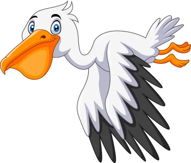 Vector illustration of Cute cartoon pelican is flying