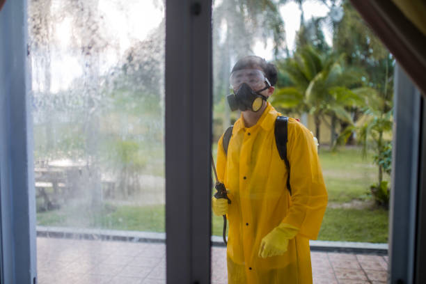 istock One man in protective suit disinfecting housing area. Disinfecting environment during covid-19 lockdown period 1218315174