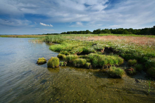 istock denmark beatiful coastal landscape in the summer 1218315899