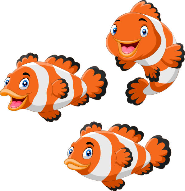 Cute Cartoon Clownfish Diferent Pose Stock Illustration - Download Image  Now - Fish, Cartoon, Clown Fish - iStock