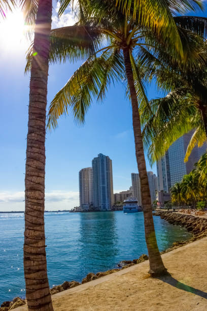 istock Early morning light in Bayfront Park Miami 1218317399