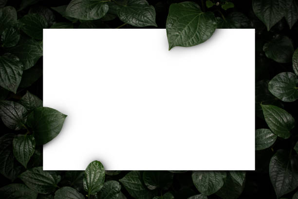 istock White paper card on flat lay green leaves texture top view background. Creative layout in nature concept. 1218317477