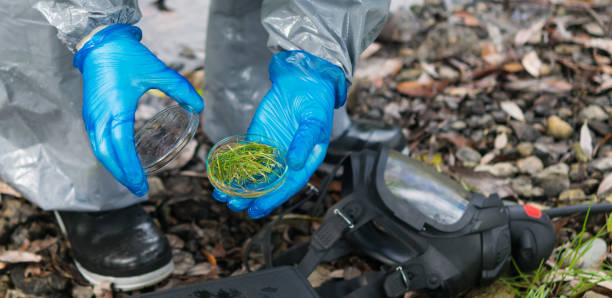 istock hands in a protective suit and rubber gloves take a sample of plants for research 1218318355
