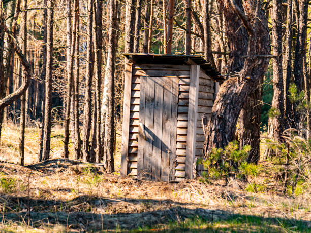 istock Wooden public toilet in a pine forest. 1218318691