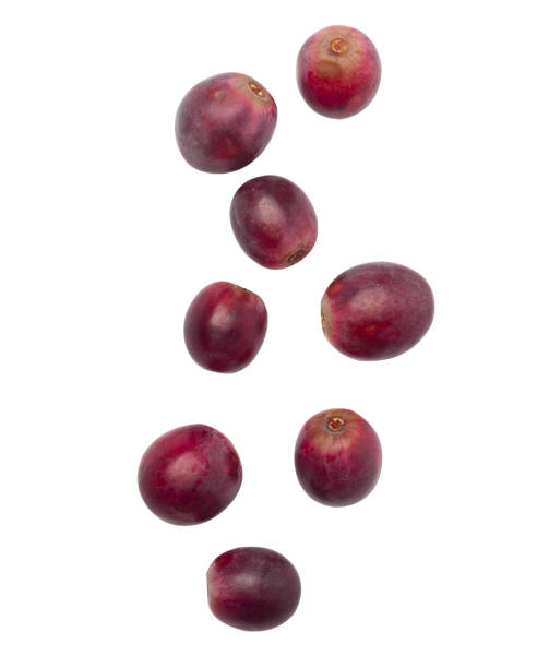 Falling red grapes isolated on white background with clipping path