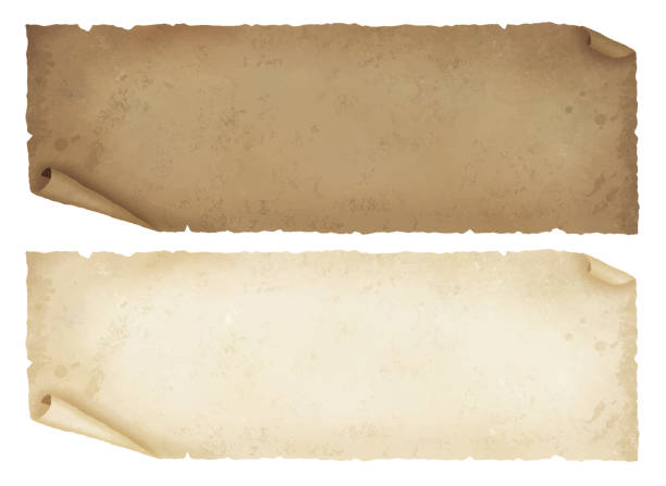 ilustraciones, imágenes clip art, dibujos animados e iconos de stock de longitud lateral de los papeles antiguos - parchment
