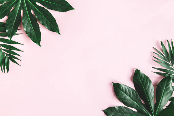 istock Summer composition. Tropical leaves on pink background. Summer concept. Flat lay, top view, copy space 1218327529