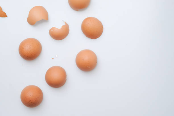Broken egg shell on white background stock photo