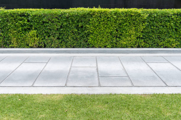 istock Concrete walkway in the park with green grass, 1218337635