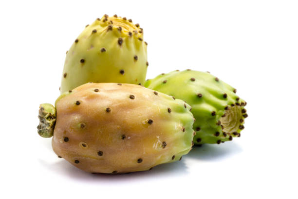 fico d'india isolato su sfondo bianco - prickly pear fruit foto e immagini stock