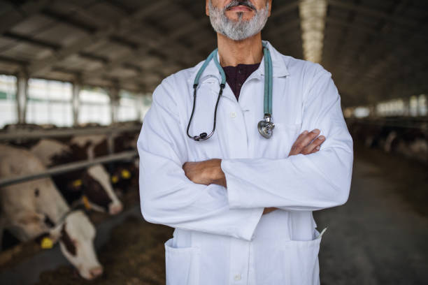 istock Unrecognizable man veterinary doctor on diary farm, agriculture industry. 1218340254