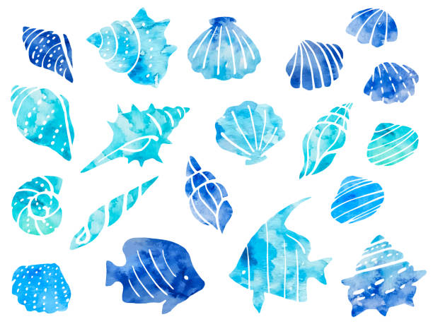 ilustraciones, imágenes clip art, dibujos animados e iconos de stock de conjunto ilustrativo de conchas marinas, caracoles y peces tropicales dibujados en estilo acuarela - bannerfishes