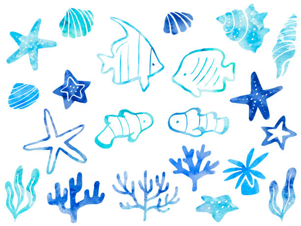 ilustraciones, imágenes clip art, dibujos animados e iconos de stock de conjunto de ilustración de estilo acuarela con motivos marinos - bannerfishes