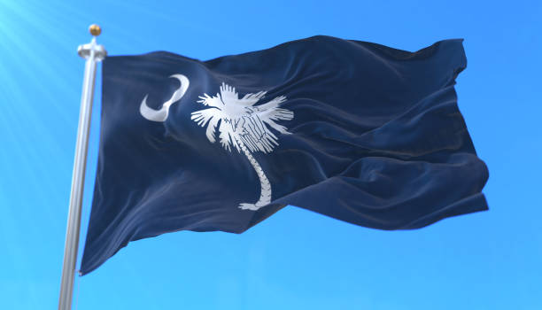 サウスカロライナ州の旗、アメリカ合衆国の州 - south carolina 写真 ストックフォトと画像