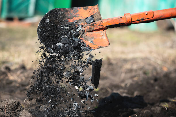 정원. - human hand working shovel dirt 뉴스 사진 이미지