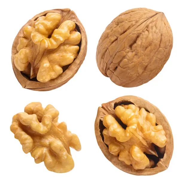 Walnuts collection, isolated on white background